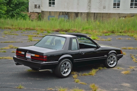 rare-coyote-powered-t-top-coupe-for-sale-on-ebay-0011