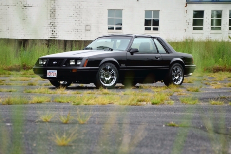 rare-coyote-powered-t-top-coupe-for-sale-on-ebay-0021
