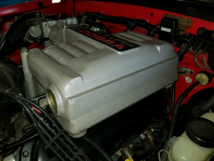 image8