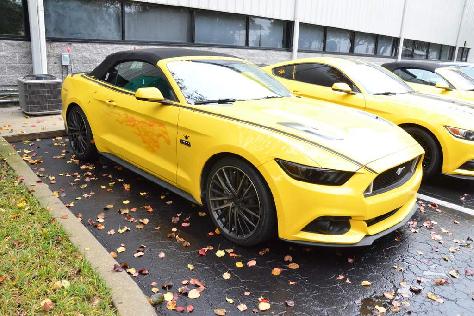 200-mustangs-turn-out-for-npds-pony-trails-cruise-0063