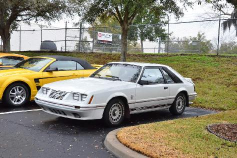 200-mustangs-turn-out-for-npds-pony-trails-cruise-0067