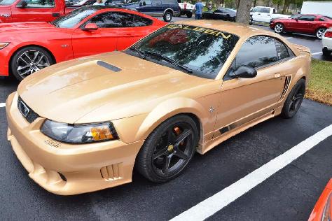 200-mustangs-turn-out-for-npds-pony-trails-cruise-0114