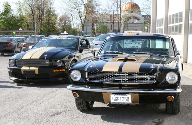 Hertz May Rent Shelbys Again
