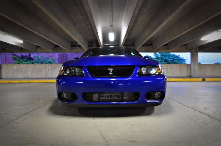 Video: The Evolving Story Of One Man’s SVT Cobra