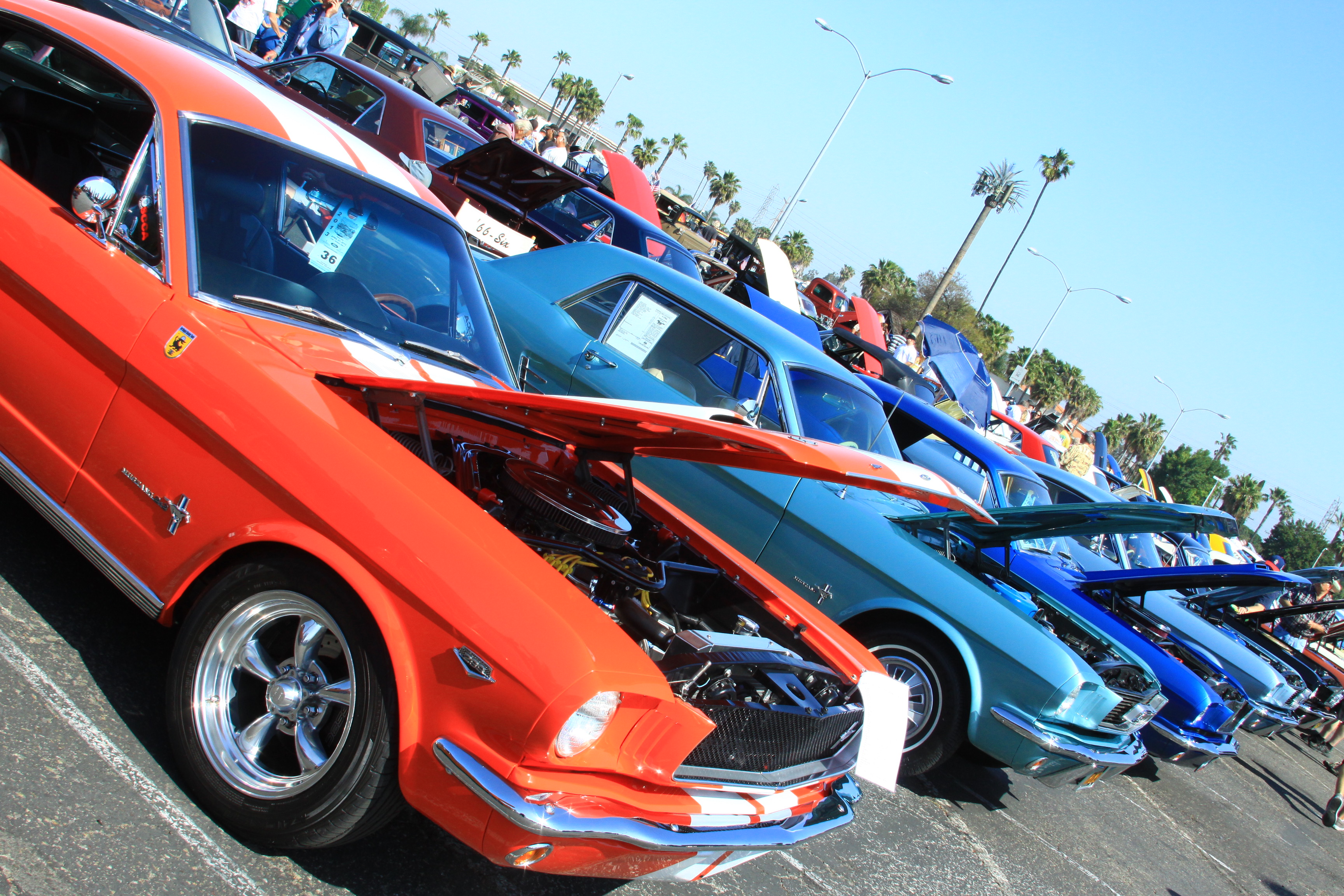 Knott's Fabulous Fords Forever Nets 2100 Cars