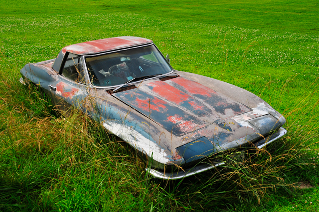 yard-find-1