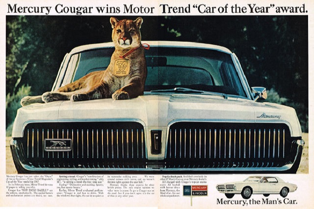 cougar-ad