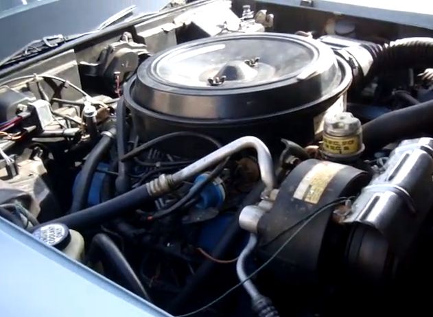 diesel-vette-2