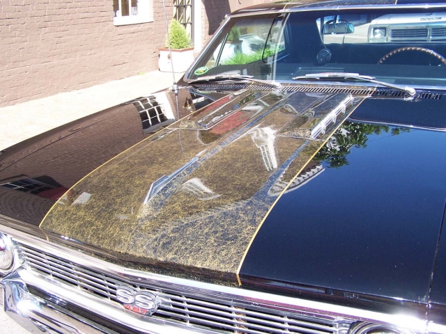 Bobby Lockhart did the cobwebbed stripe over the original black paint. 