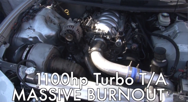 turbota2