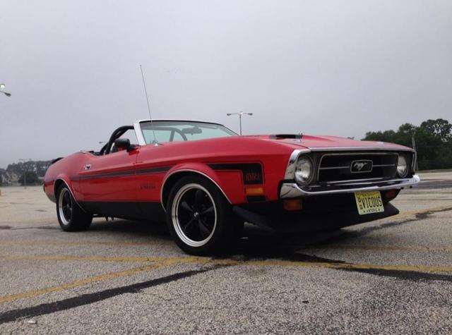 Large And In Charge: A Mustang Called "Pig Vicious"