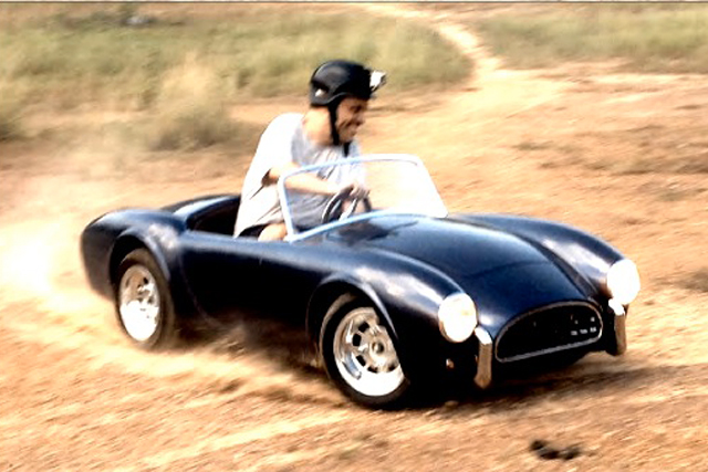 cobra01