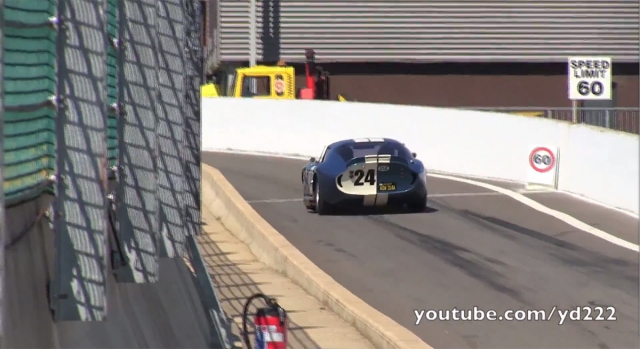 shelby2