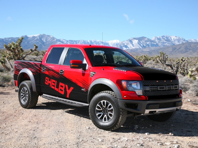 shelbyraptor1