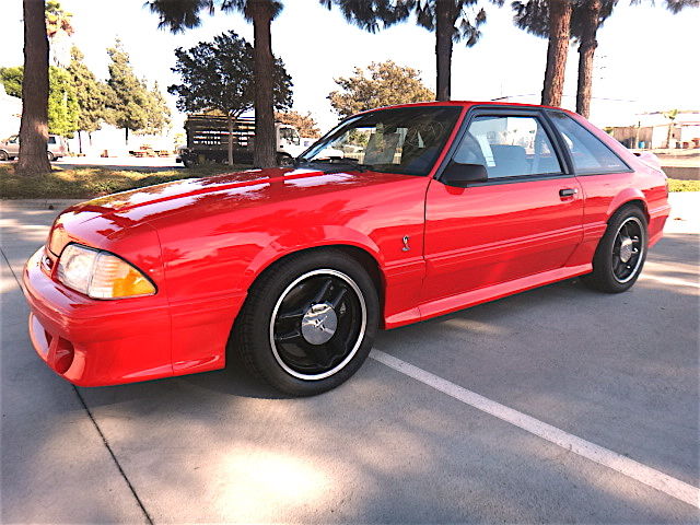 eBay Find: 500 Mile 1993 Cobra R