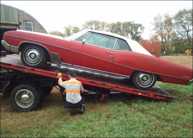 Retrieved from a shed, this Wildcat is ready for a new home. 