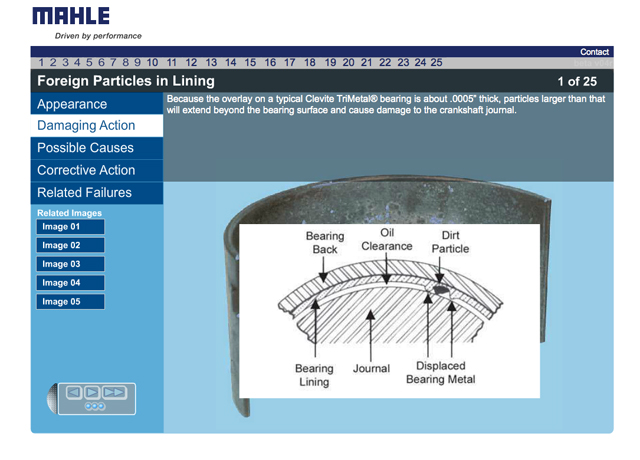 Mahle-3