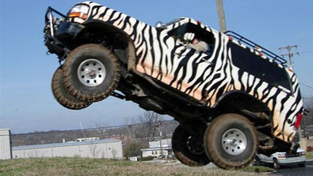 Ted Nugent Zebra Bronco