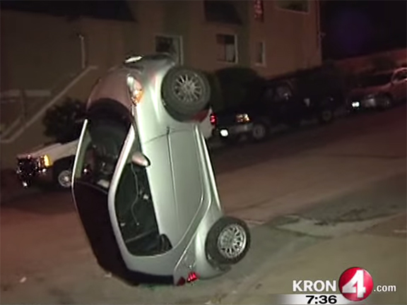 Video: Urban Cow Tipping Gone Mad! Watch Out Smart Cars!