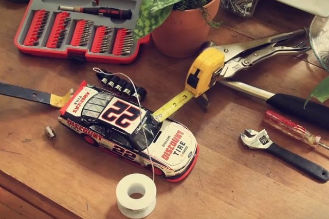 Video: What Mustangs Do When You’re Not Home   