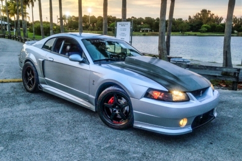 2004 SVT Cobra ROUSH A Creation From Two Great Icons