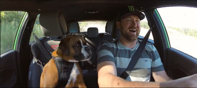 mans_best_friend_5