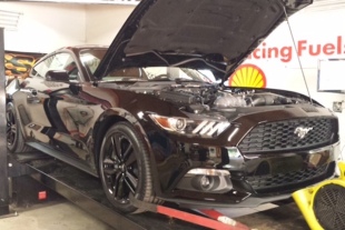 Video: Woodbine Motorsports Puts 2015 Mustang EcoBoost on the Dyno