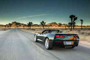 Adhesive in the C7 Corvette May Help Preserve Bats Across America