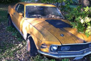 Barn Find: Complete Mustang Mach 1 Left Underneath a Tree