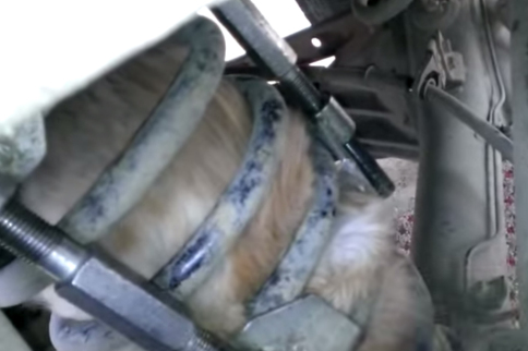 Video: Cat Gets Stuck In Coil Spring Of SUV, And Goes For a Ride
