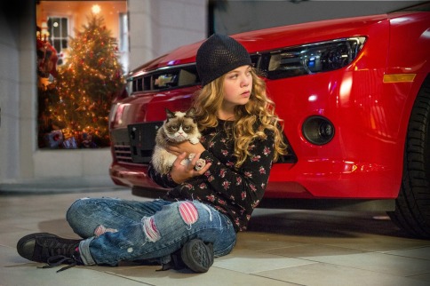 Video: Grumpy Cat Masterminds Camaro Theft