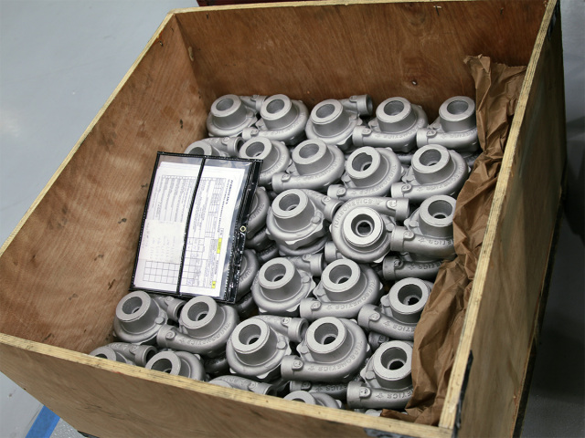 raw_casting_batch