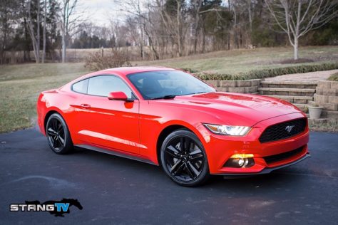 Race Red-103