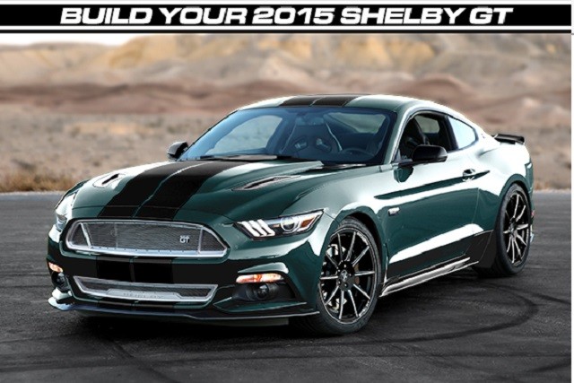 2015 Shelby Guard info