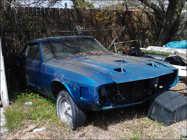 Shelby Mustang 2