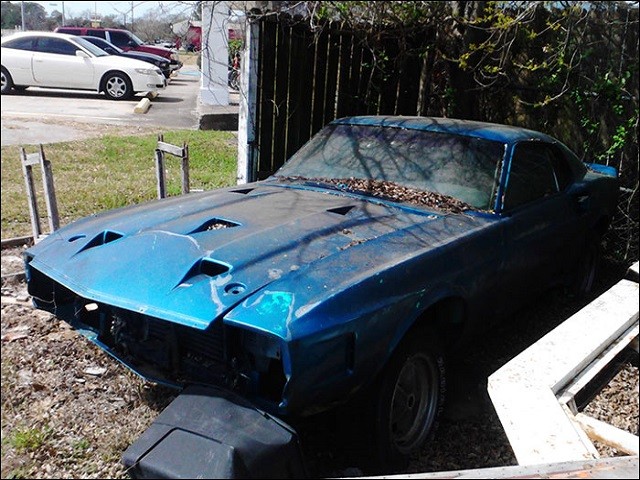 Shelby Mustang