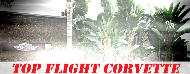 Top Flight