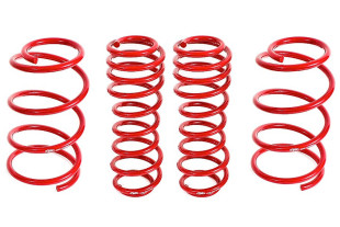 BMR Suspension Drag Race Lowering Springs for Mustang GT And GT500