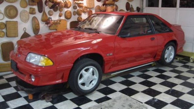 Red Fox Exterior