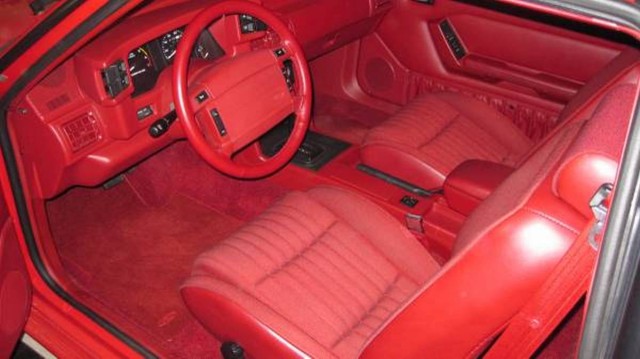 Red Fox Interior