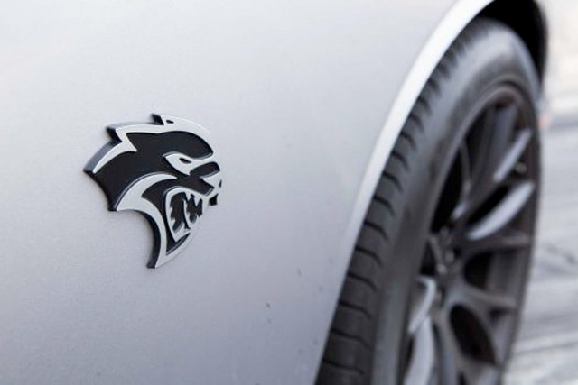 300chellcat2