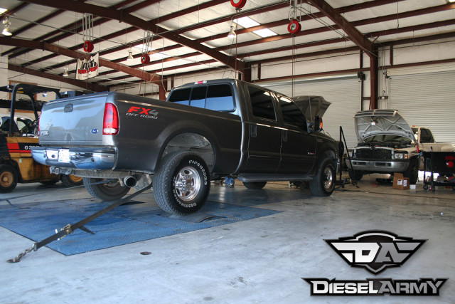 Dyno