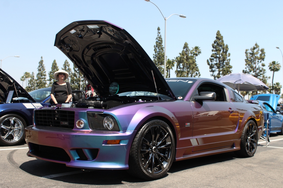 Robert Landry's BASF Extreme Rainbow Saleen Is Almost One of A Kind