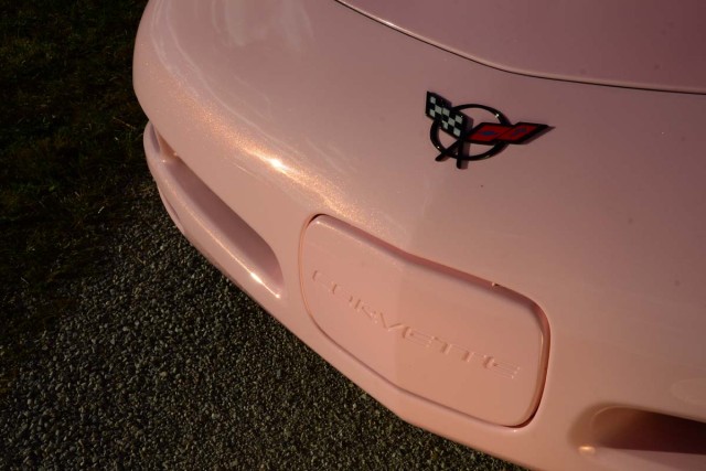 DSC_6173PinkIce