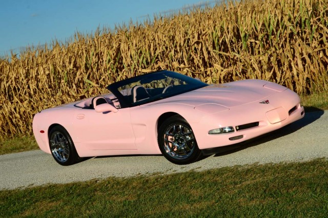 DSC_6178PinkIce