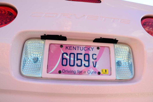DSC_6192PinkIce