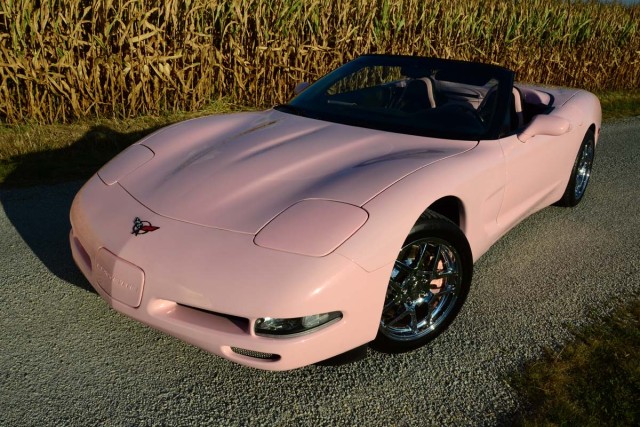 DSC_6207PinkIce