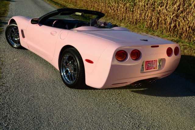DSC_6229PinkIce