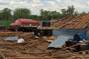 Video: Miracle Mustang Mach 1 Survives Devastating Colorado Tornado