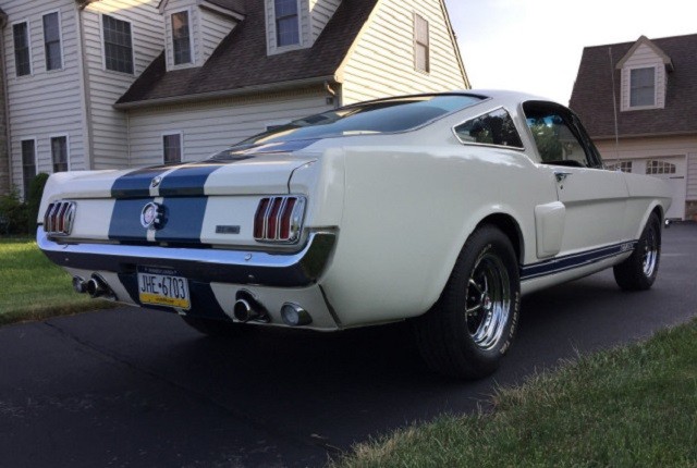 1966-Shelby-GT350-Clone-2